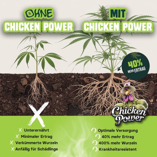 Diamond Buds® BIO All-in-One Cannabis Dünger Indoor & Outdoor – Organischer Grow & Bloom Langzeitdünger für 3–6 Cannabispflanzen, Wachstums- & Blütephase – 470g Hanfdünger mit Dosierbehälter