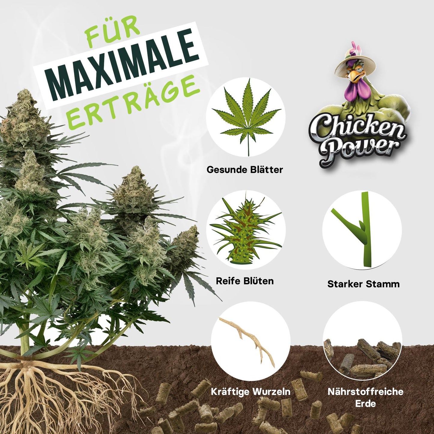 Diamond Buds® BIO All-in-One Cannabis Dünger Indoor & Outdoor – Organischer Grow & Bloom Langzeitdünger für 3–6 Cannabispflanzen, Wachstums- & Blütephase – 470g Hanfdünger mit Dosierbehälter