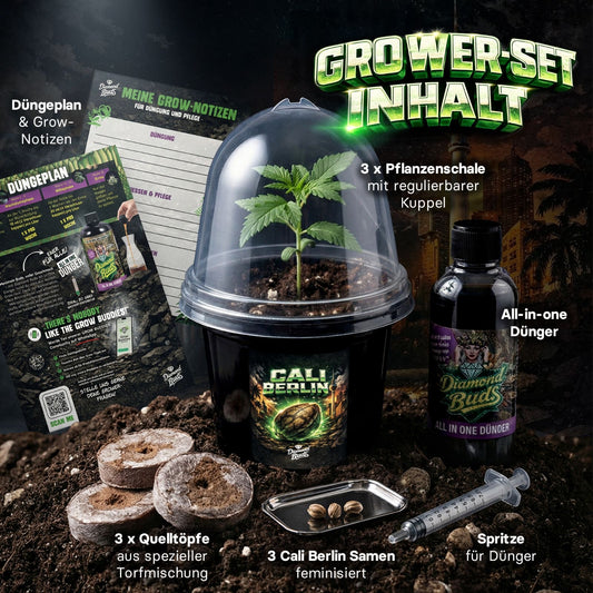 Cali Berlin Grower Set mit Pflanzenschalen Quelltoepfen Duenger und feminisierten Sammlersamen