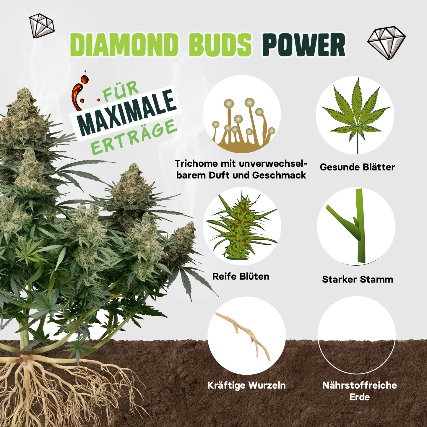 Diamond Buds® All In One Cannabis Dünger Indoor & Outdoor für Cannabis Pflanzen Wachstumsphase und Blütephase BIOlogischer organischer Grow & Bloom 500ml Hanfdünger mit Dosierbehälter