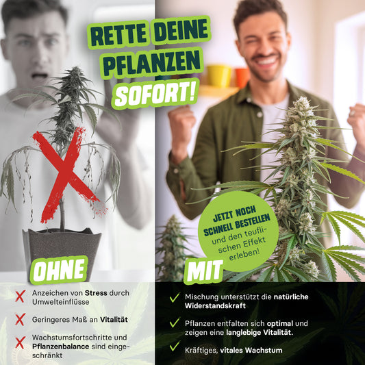 Neemöl Devil Pflanzenpflege für vitale Cannabispflanzen im Indoor Grow