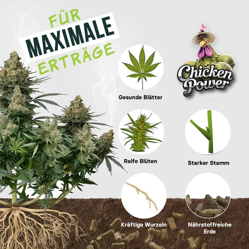 Diamond Buds® BIO All-in-One Cannabis Dünger Indoor & Outdoor – Organischer Grow & Bloom Langzeitdünger für 3–6 Cannabispflanzen, Wachstums- & Blütephase – 470g Hanfdünger mit Dosierbehälter