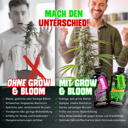 Diamond Buds® Growdünger Duo - Grow und Bloom Flüssig NPK Pflanzendünger für Indoor, Outdoor & Autoflower und Growbox geeignetes Blütendünger Anbau Set