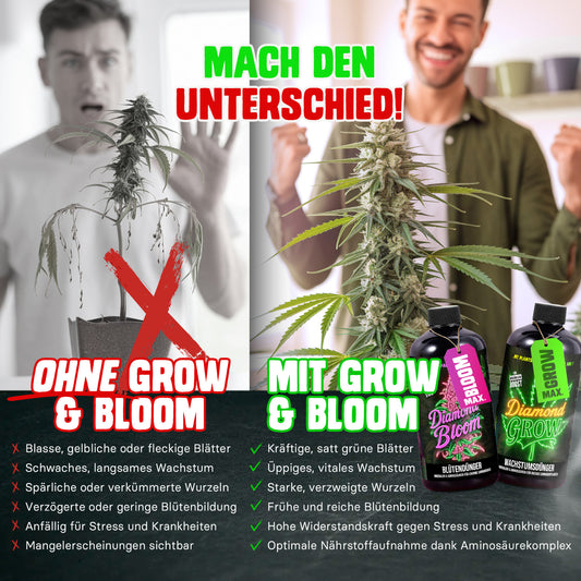 Diamond Buds® Bloom Flüssigdünger NPK 5-8-10 – 500ml Blütendünger für Cannabis | Für Sativa, Indica & Autoflower | Flüssig Pflanzendünger für Indoor, Outdoor & Growbox Anbau