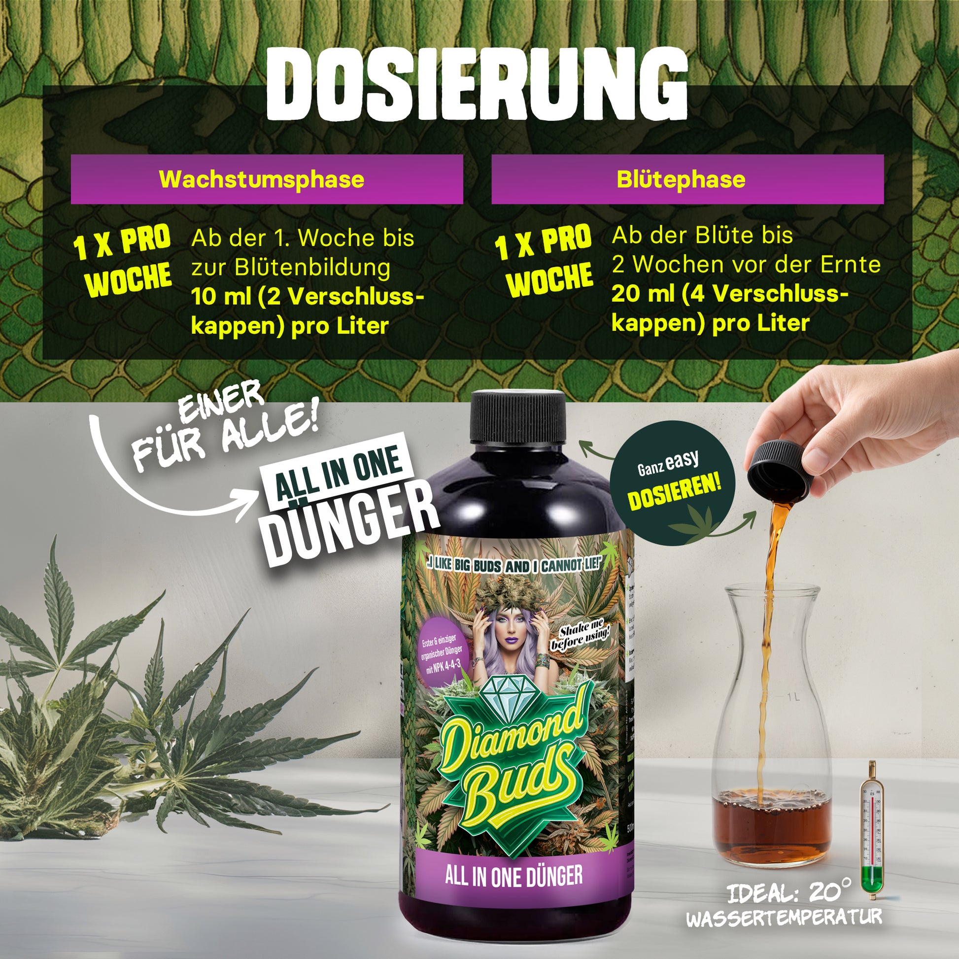 Dosierung Cannabis Dünger Wachstum und Blüte Diamond Buds
