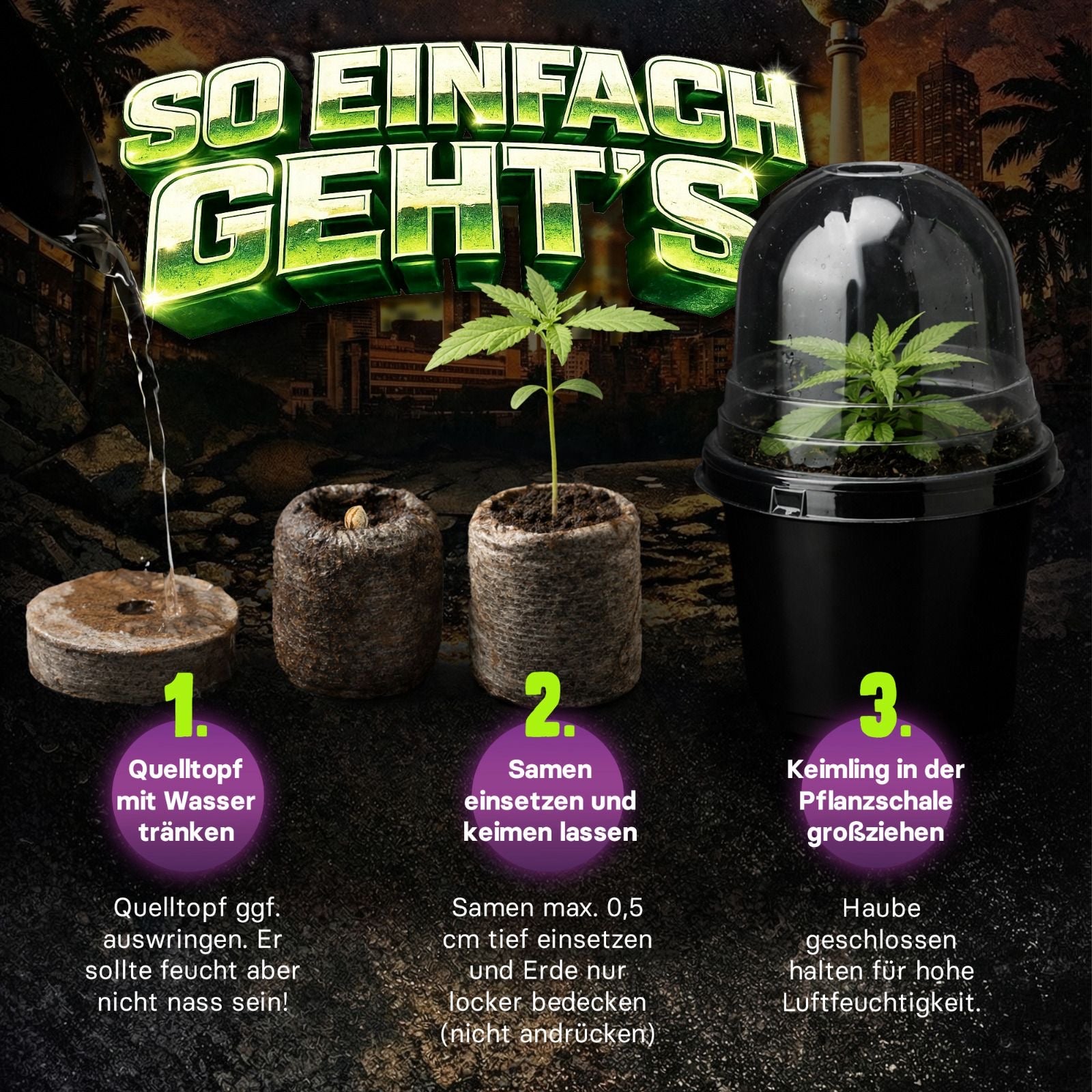 Cali Berlin Grower Set Anleitung fuer Quelltoepfe Keimung und Pflanzenschale