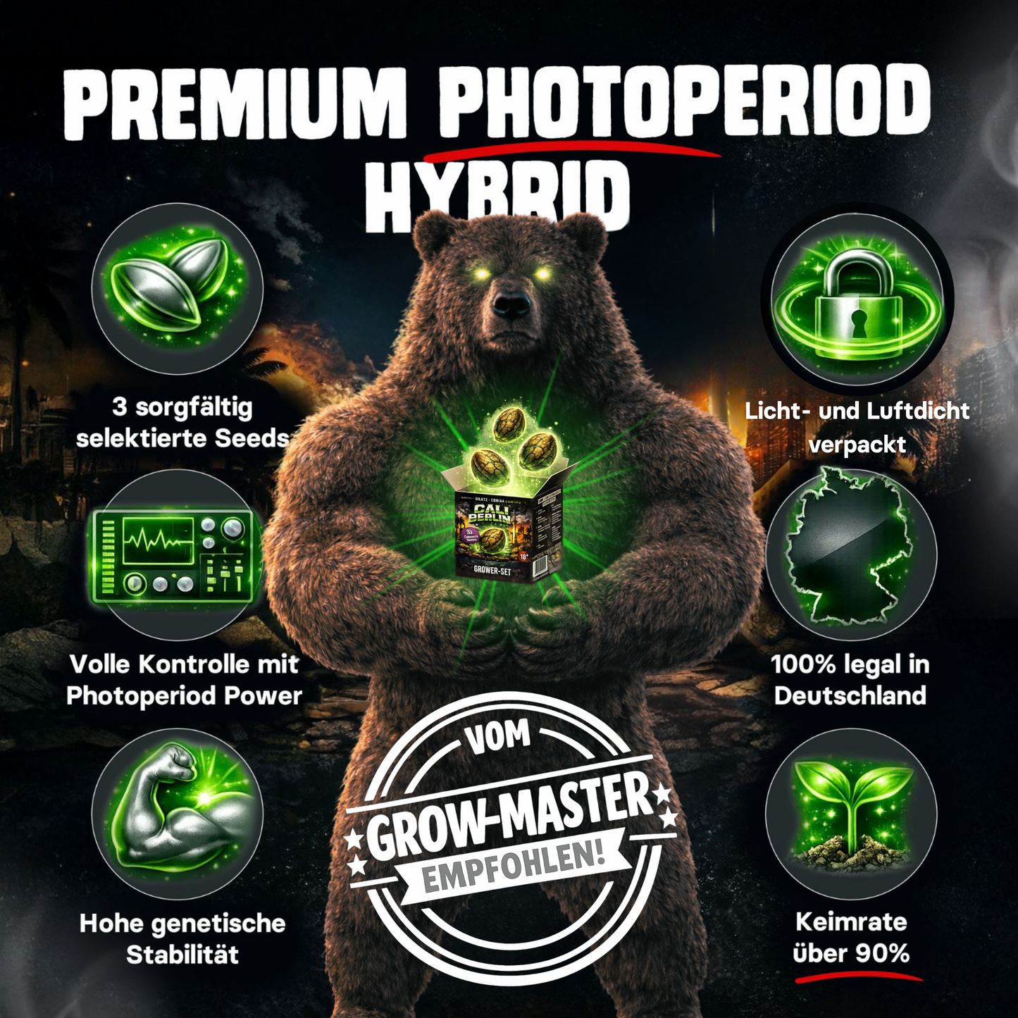 Cali Berlin Premium Photoperiod Hybrid feminisierte Sammlersamen mit hoher genetischer Stabilität