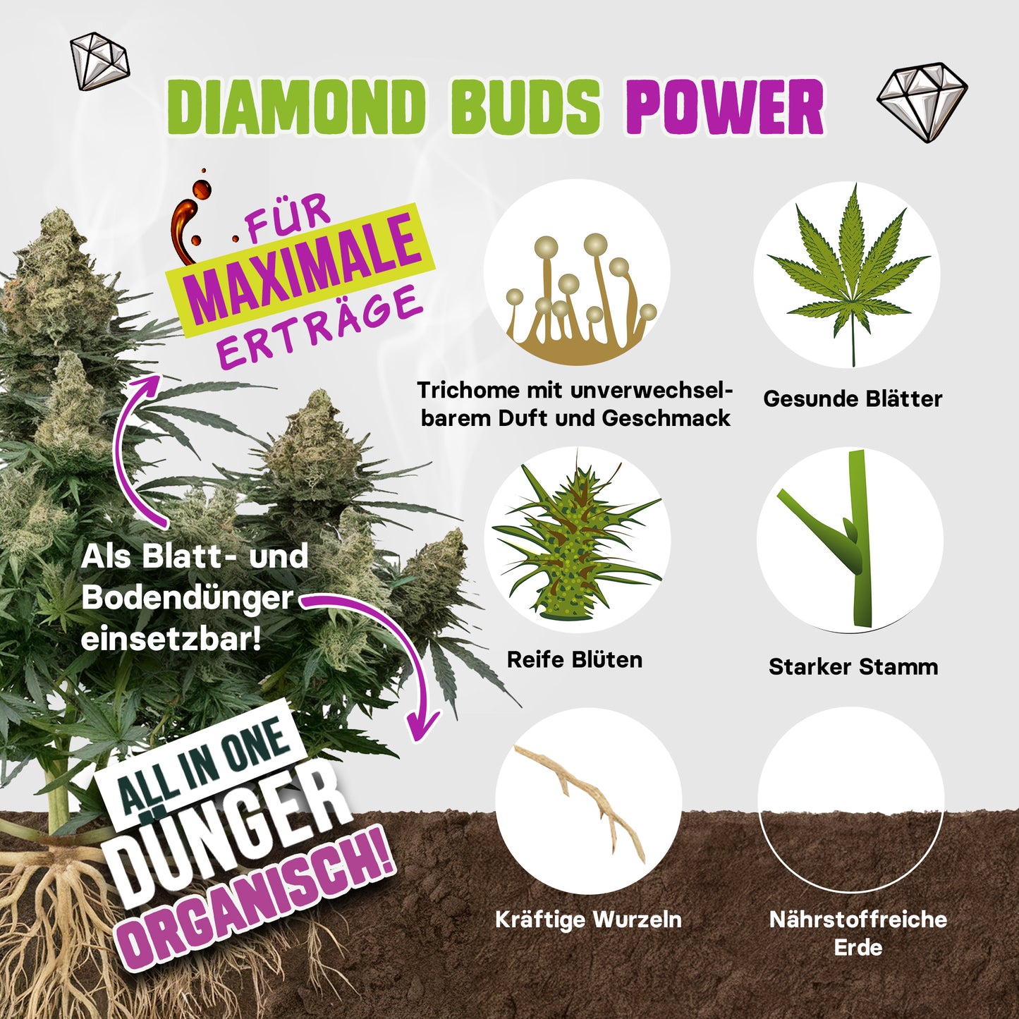 Cannabis Dünger für starke Wurzeln gesunde Blätter und große Buds