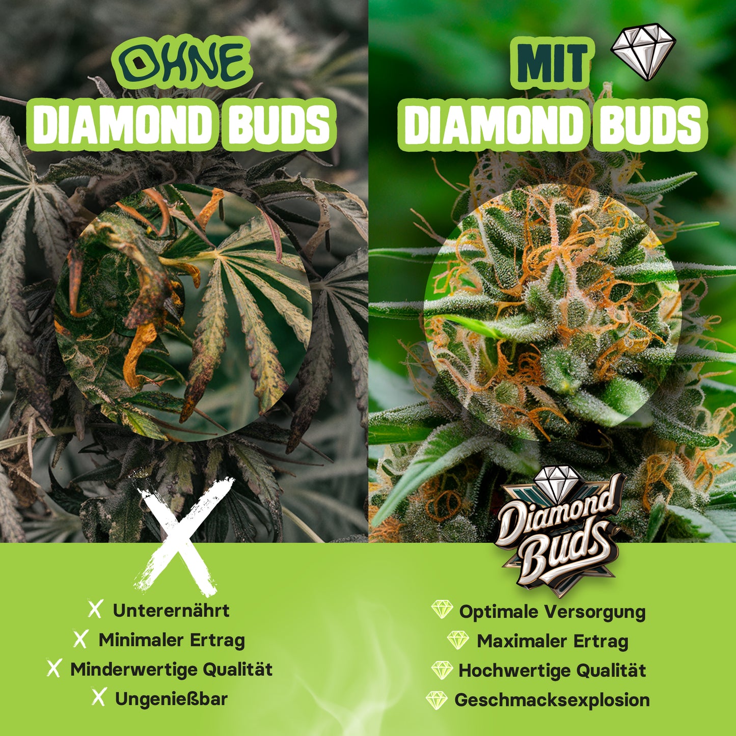 Diamond Buds® All In One Cannabis Dünger Indoor & Outdoor für Cannabis Pflanzen Wachstumsphase und Blütephase BIOlogischer organischer Grow & Bloom 500ml Hanfdünger mit Dosierbehälter