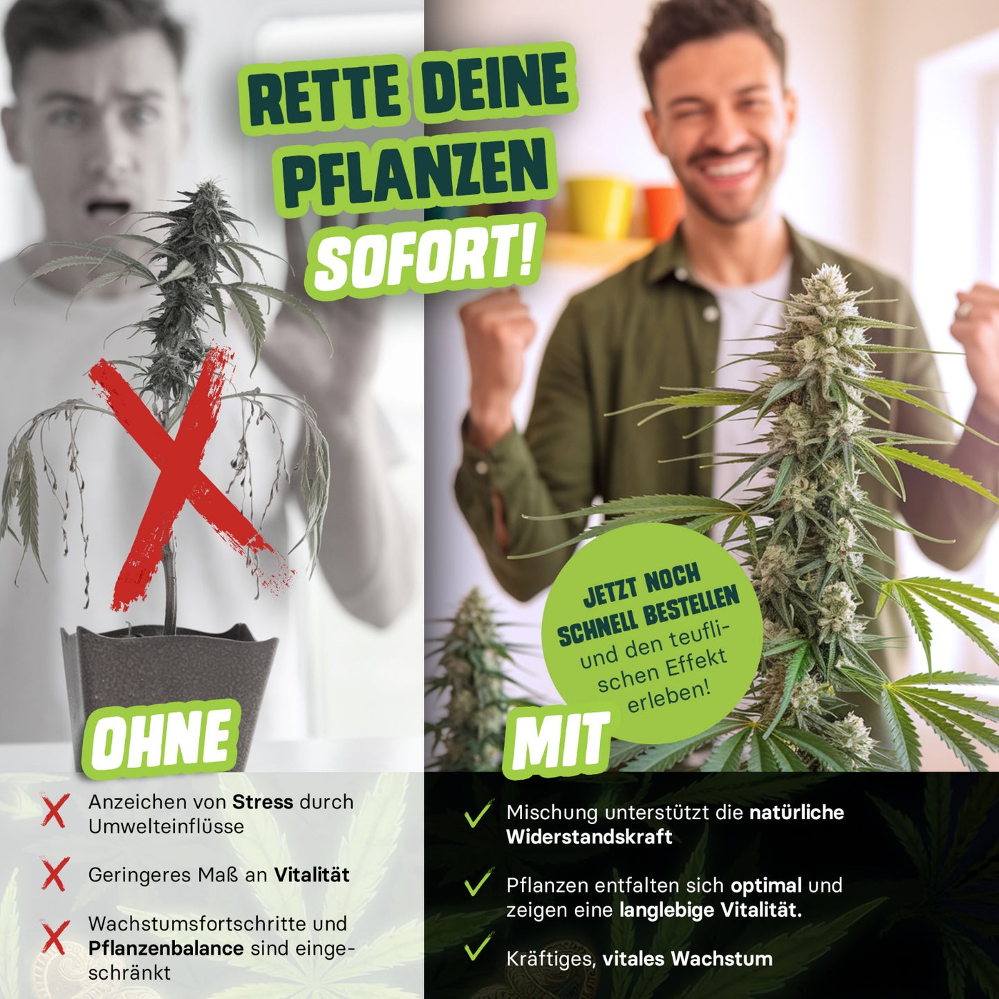 Neemöl Devil Pflanzenpflege für vitale Cannabispflanzen im Indoor Grow