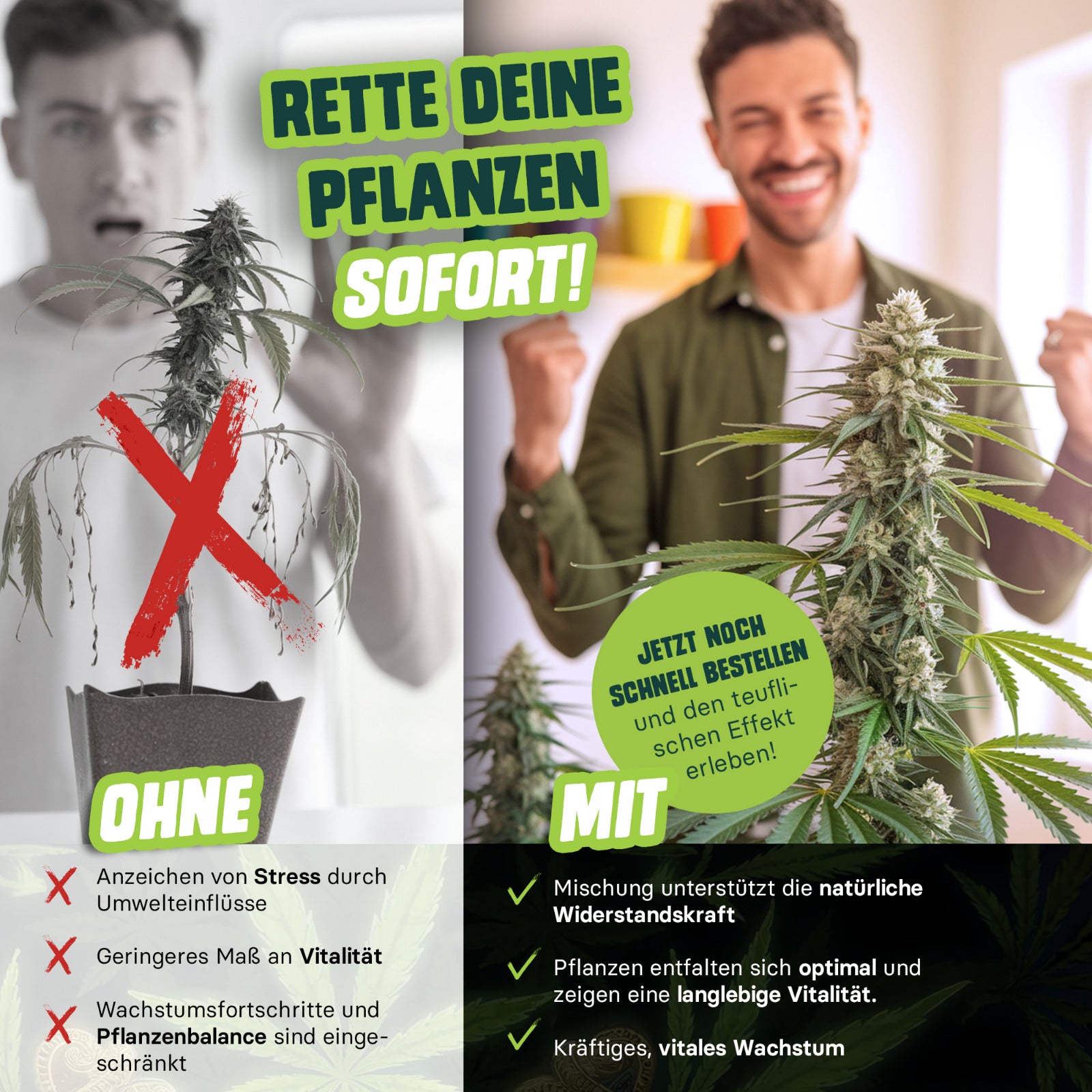 Neemöl Devil Pflanzenpflege für vitale Cannabispflanzen im Indoor Grow