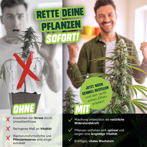 Neemöl Devil Pflanzenpflege für vitale Cannabispflanzen im Indoor Grow